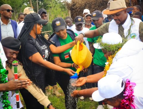 How I Drove Dedan Kimathi Foundation’s Mission for a Greener Kenya During Mazingira Day 2025