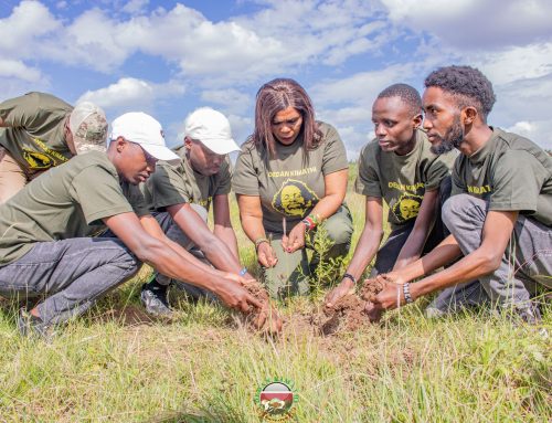 Why I Started Planting Trees